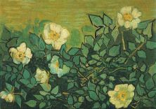 Haga click para ver la imagen ampliada 1890 roses sauvages.jpg